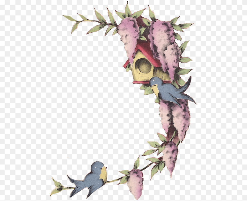 Little Blue Birds And Wisteria Frame Decorative, Pattern, Art, Animal, Bird Free Transparent Png