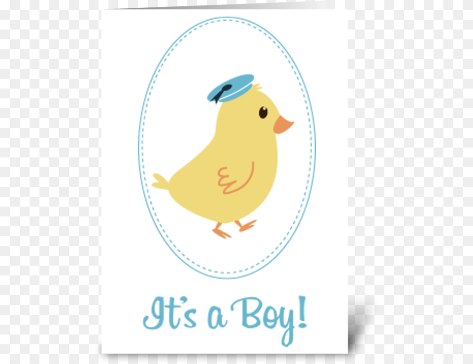 Little Boy Chick Baby Announcement Greeting Card Brundage Mountain, Animal, Bird, Canary Png Image