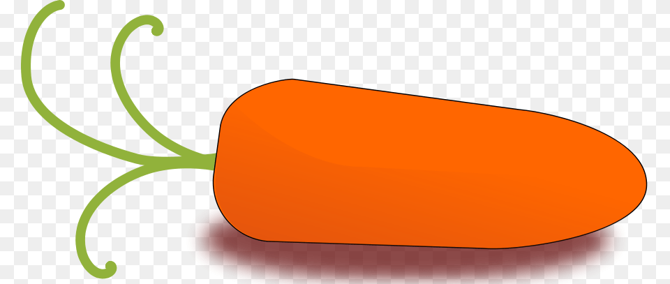 Little Carrot Large Size, Food, Plant, Produce, Vegetable Png