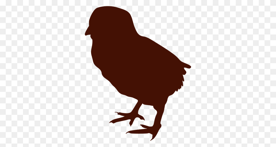 Little Chicken Bird Silhouette, Animal, Person Png