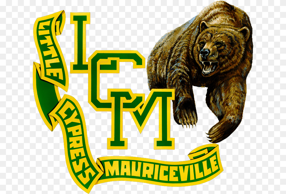 Little Cypress Mauriceville Mascot, Animal, Bear, Mammal, Wildlife Free Transparent Png