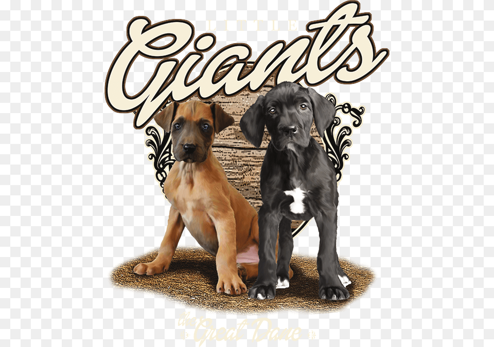 Little Giants The Great Dane The Wild Side, Animal, Boxer, Bulldog, Canine Free Transparent Png