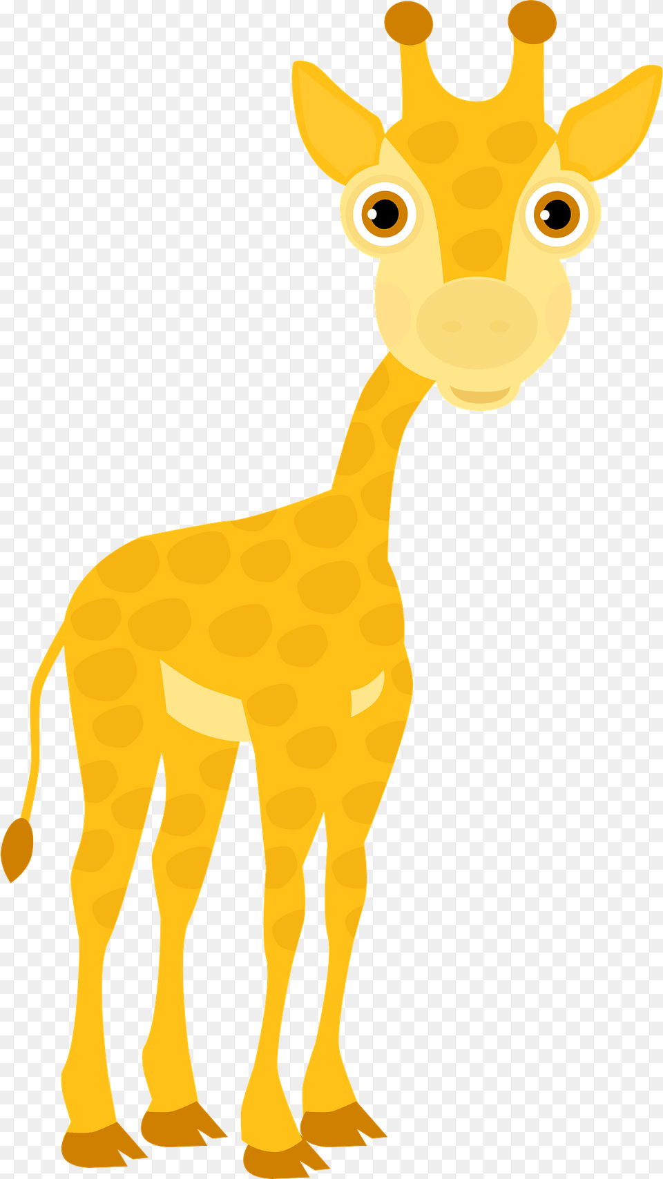 Little Giraffe Clipart, Animal, Mammal, Wildlife, Dinosaur Png Image