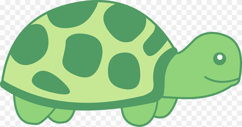 Little Green Turtle Design Turtle Clipart, Animal, Reptile, Sea Life, Tortoise Free Transparent Png