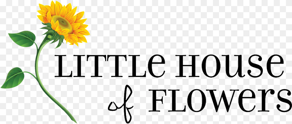 Little House Of Flowers House Of Flowers Logo, Flower, Plant, Sunflower, Leaf Free Transparent Png