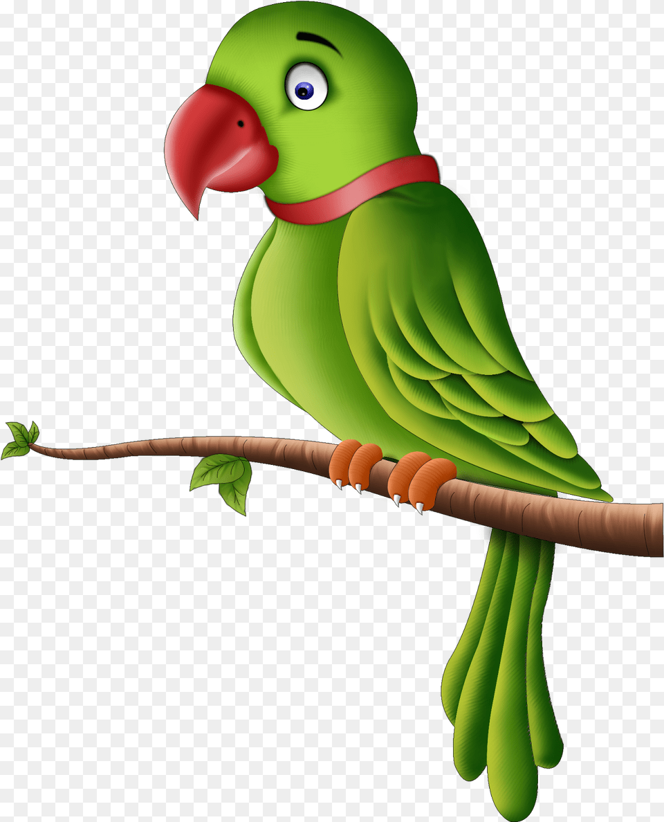 Little Known Facts About Parrots All Parrot, Animal, Bird, Parakeet Free Png Download