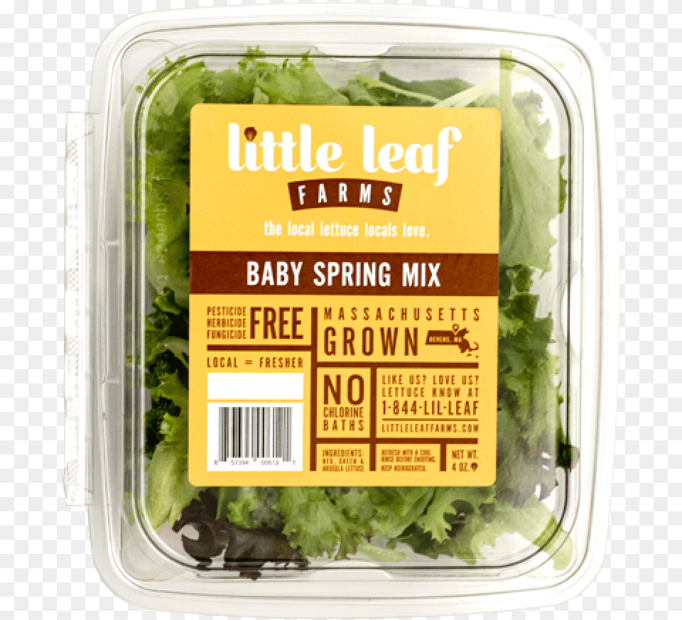 Little Leaf Farms Lettuce, Food, Plant, Produce, Vegetable Free Png