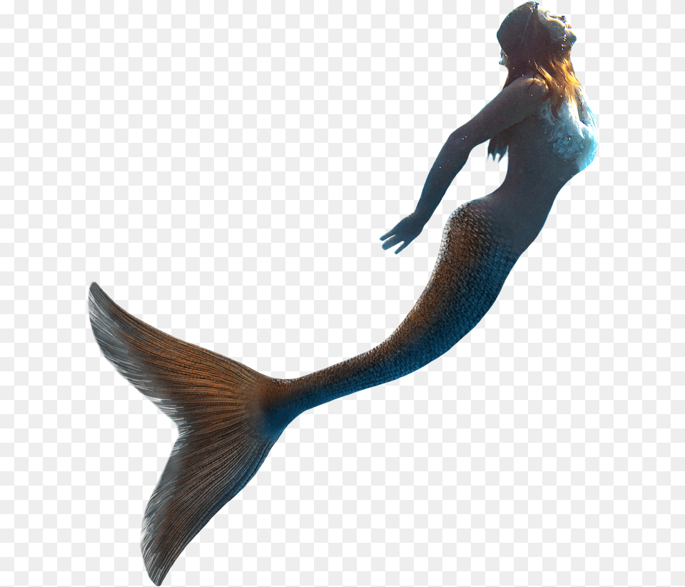 Little Mermaid Llc United Kingdom Mermaid With Transparent Background, Water, Aquatic, Adult, Person Png