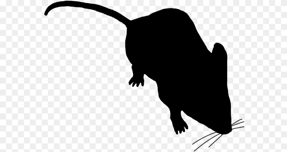 Little Mouse Sniffing Around Mouse Silhouette Background, Black Free Png