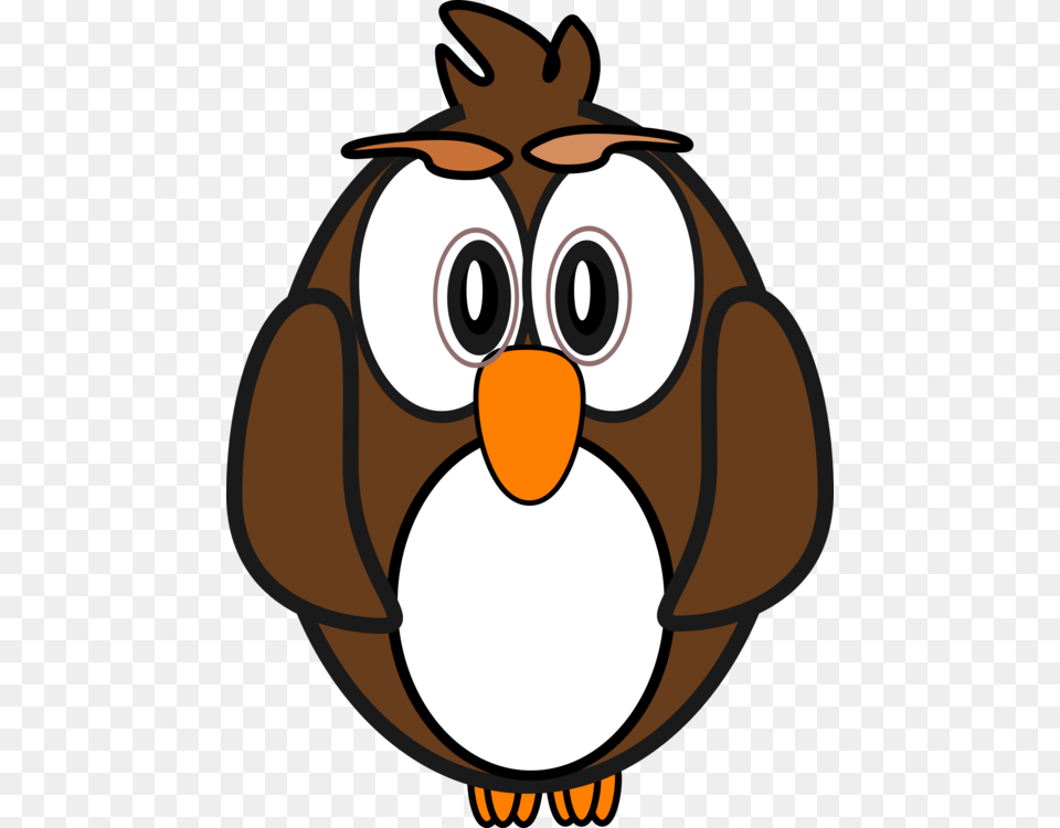 Little Owl Cartoon Animation Drawing, Animal, Bird, Baby, Person Png Image