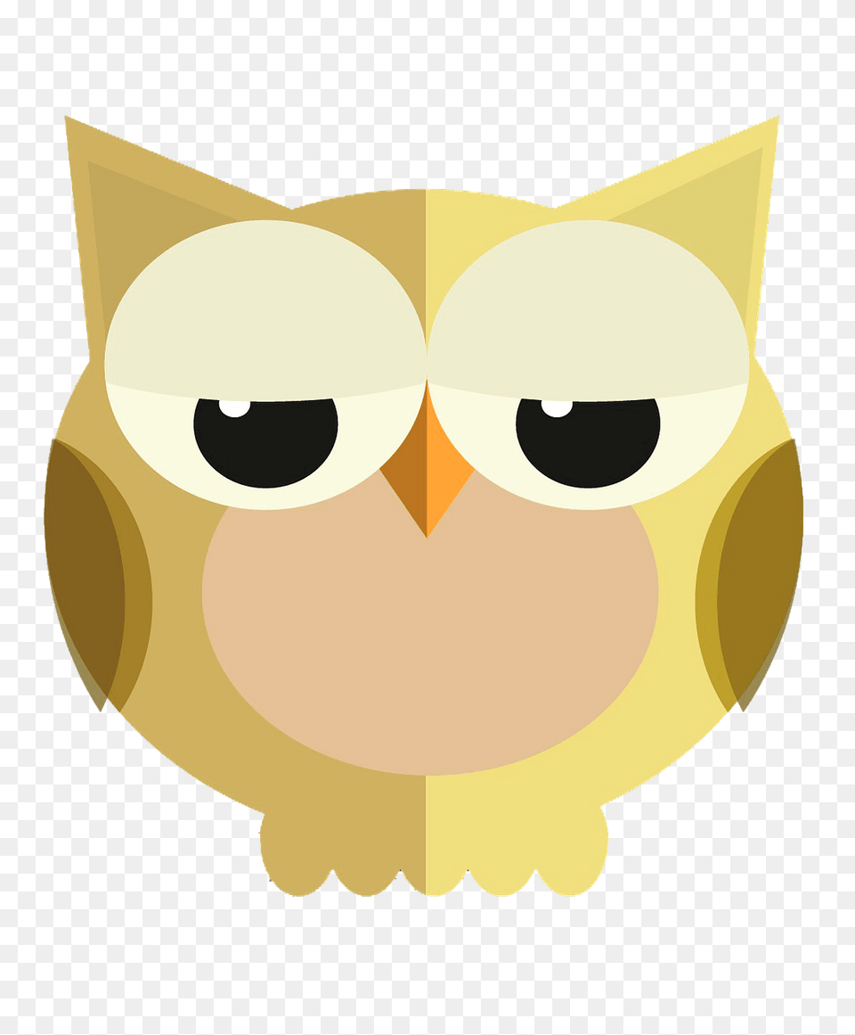 Little Owl Clipart, Animal, Cat, Mammal, Pet Png