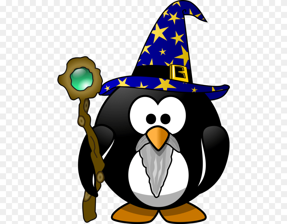 Little Penguin Magician Bird, Clothing, Hat, Animal, Fish Free Png