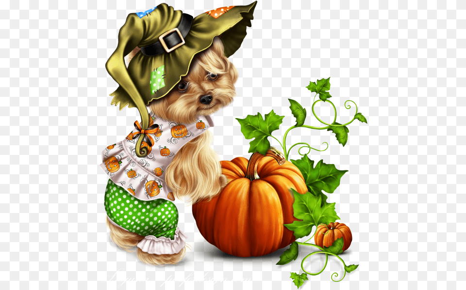 Little Pumpkin Yorkie Yorkie Thanksgiving Clipart, Vegetable, Produce, Food, Plant Free Png Download