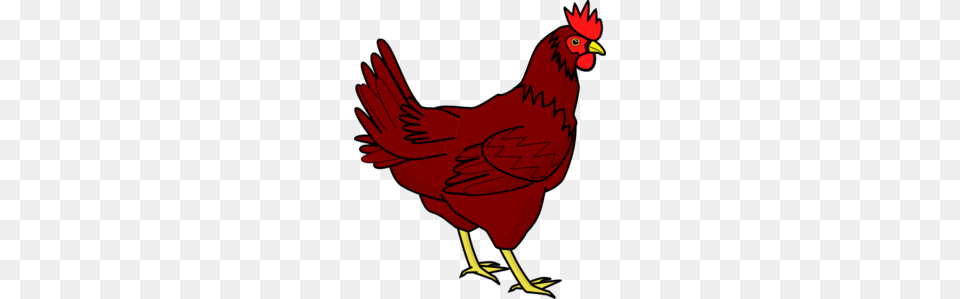 Little Red Hen Clip Art Look, Animal, Bird, Fowl, Poultry Png Image