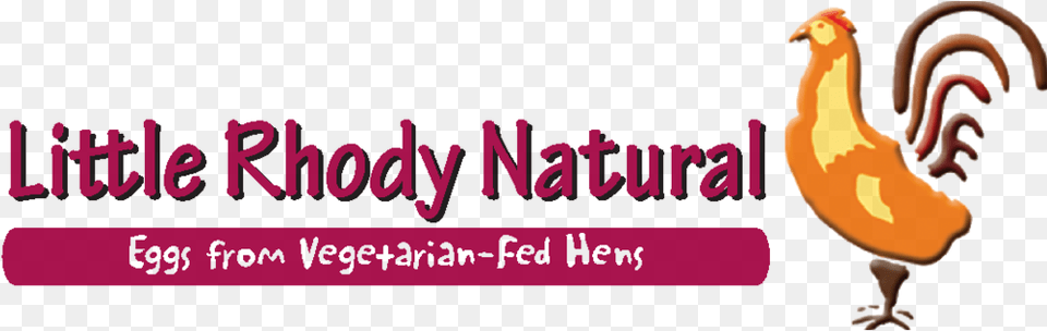 Little Rhody Natural Logo Oval, Animal, Bird, Chicken, Fowl Png Image