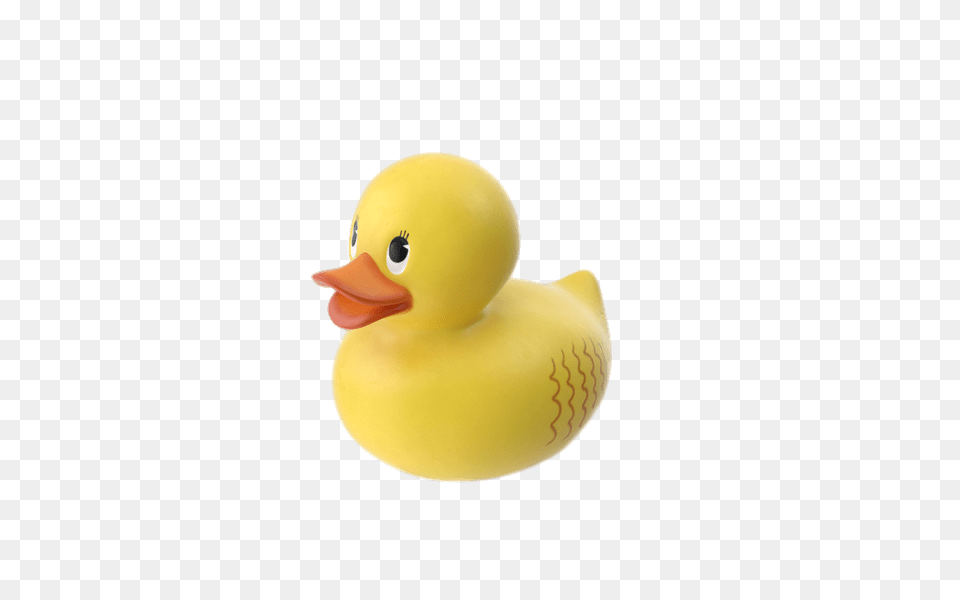 Little Rubber Duck, Animal, Bird, Beak, Toy Png Image