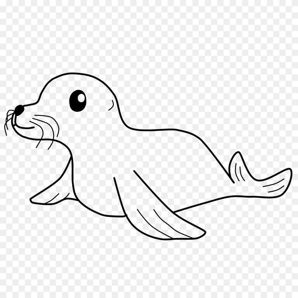 Little Seal Clipart, Animal, Mammal, Sea Life, Sea Lion Png