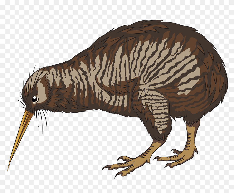 Little Spotted Kiwi Clipart, Animal, Dinosaur, Reptile, Bird Png