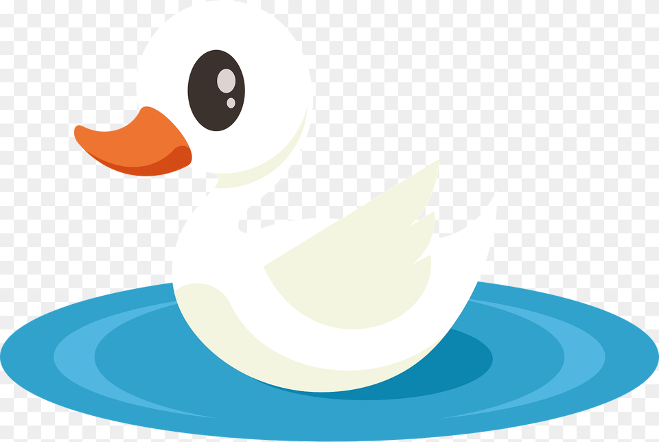 Little Swan Clipart, Animal, Bird, Duck Png Image