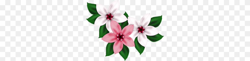Little Sweetie, Flower, Pattern, Plant, Art Free Png Download