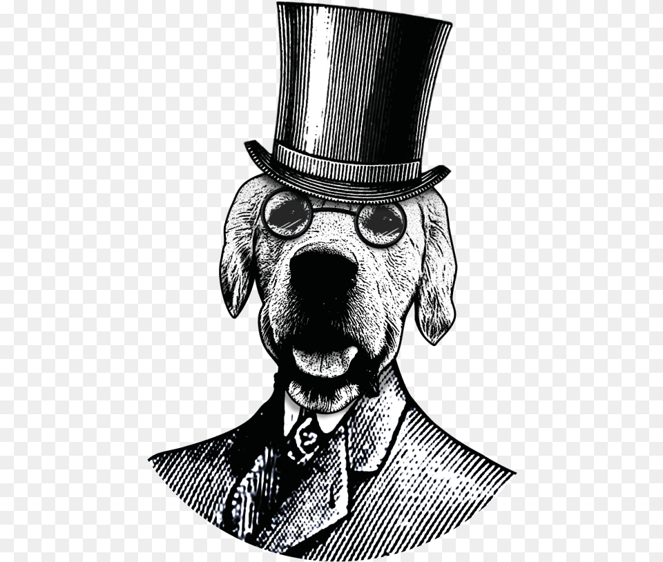 Little Treat Box The Company Gentleman Dog Drawing, Adult, Male, Man, Person Png Image
