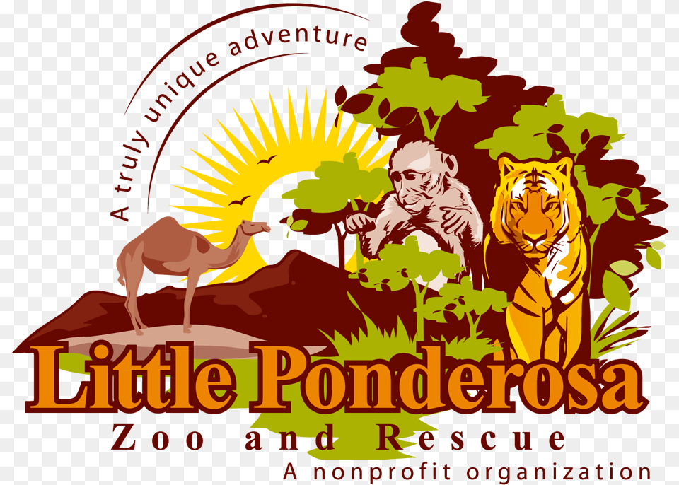 Littleponderosazoo Com Little Ponderosa Zoo Logo, Adult, Person, Man, Mammal Png