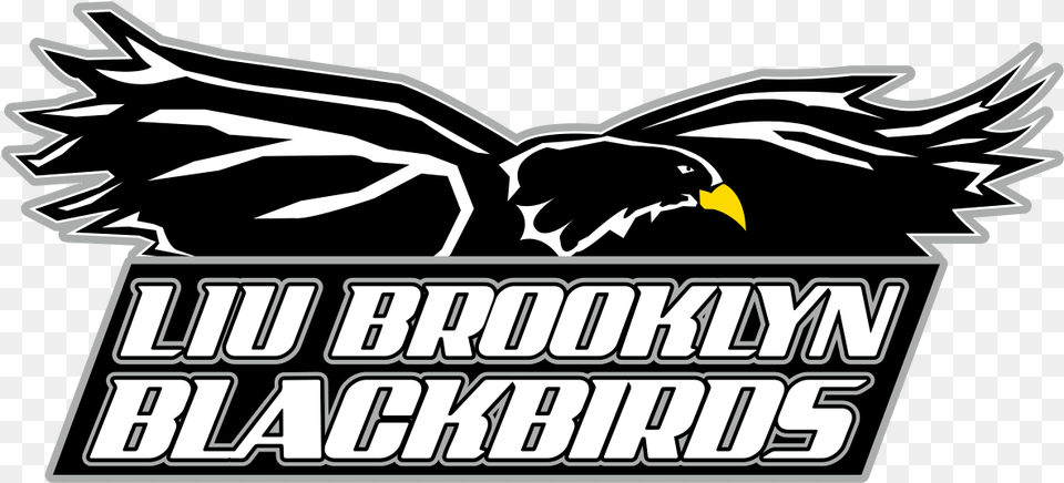 Liu Brooklyn Pulls Out Of Tri Meet With Rutgers Brown Liu Brooklyn Blackbirds Logo, Animal, Beak, Bird, Dynamite Free Png