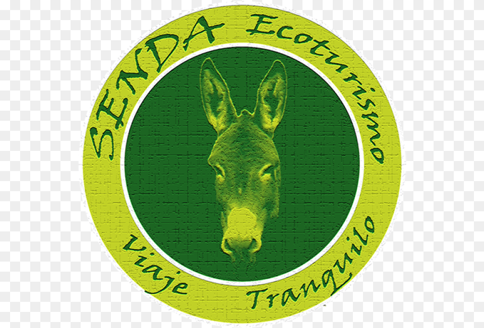 Live A Diferent Day In Libana With The Best Company Donkey Day, Animal, Mammal, Logo Png Image