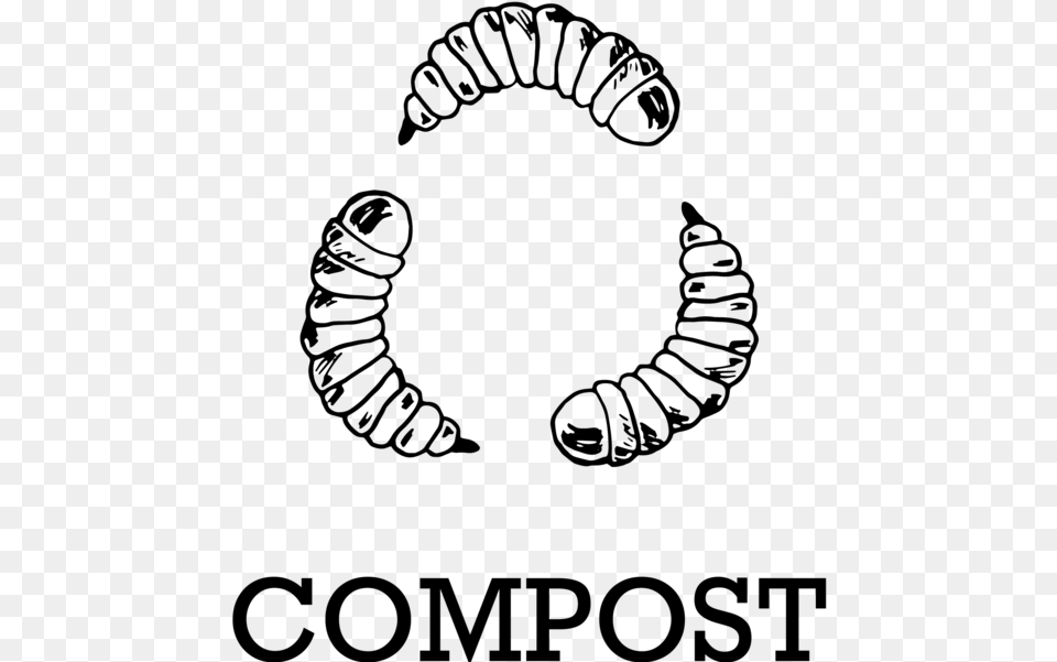 Live Bsfl For Compost Maggot Clipart Black And White, Gray Png Image
