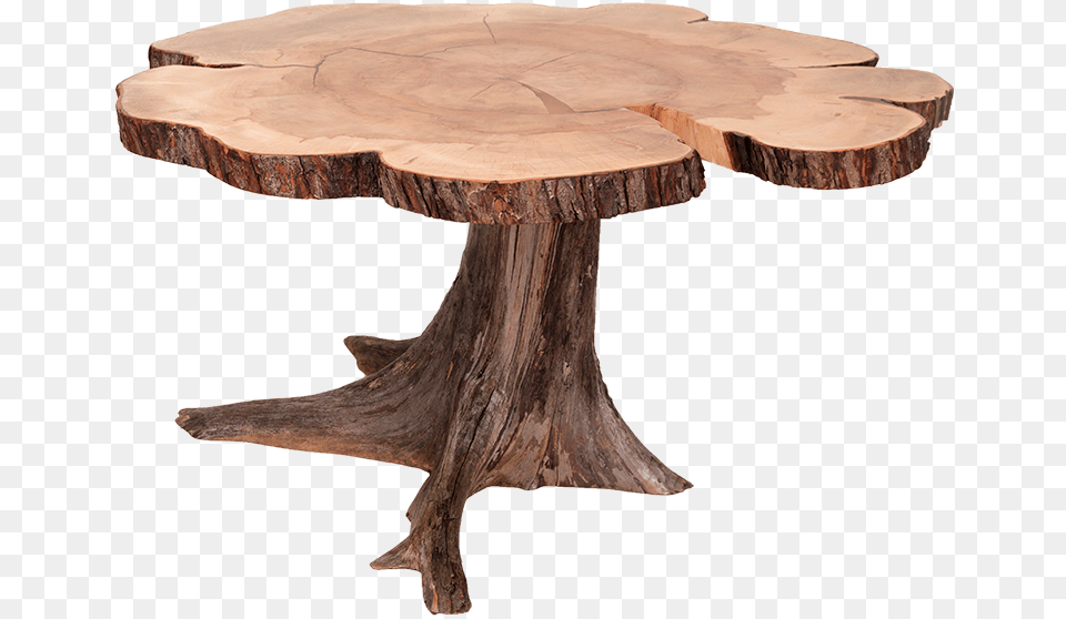 Live Edge Table Coffee Table, Furniture, Plant, Tree, Tree Stump Png