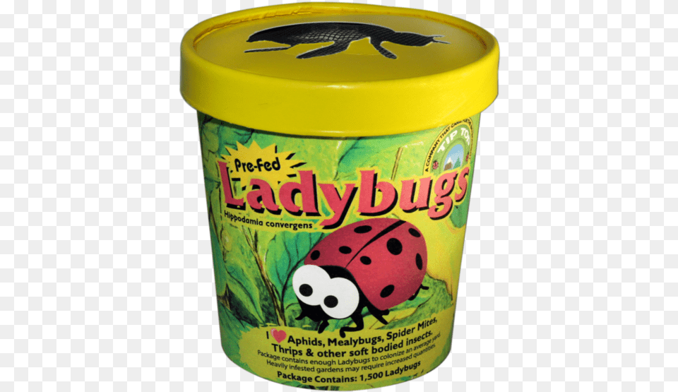 Live Ladybugs Ladybugs Container, Can, Tin, Food Free Png Download