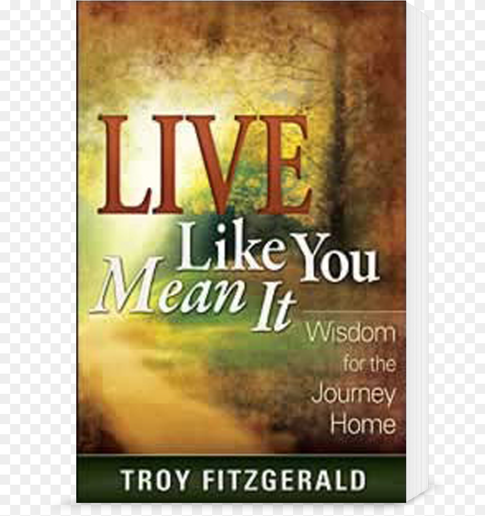 Live Like You Mean It Book Poster, Novel, Publication Png Image