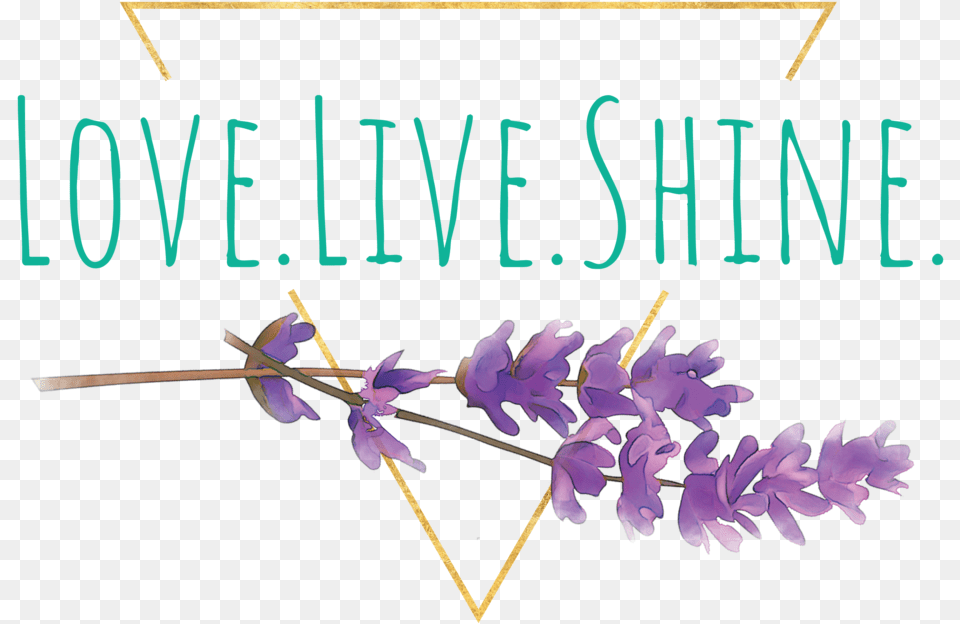 Live Love Shine, Leaf, Plant, Purple, Flower Free Transparent Png