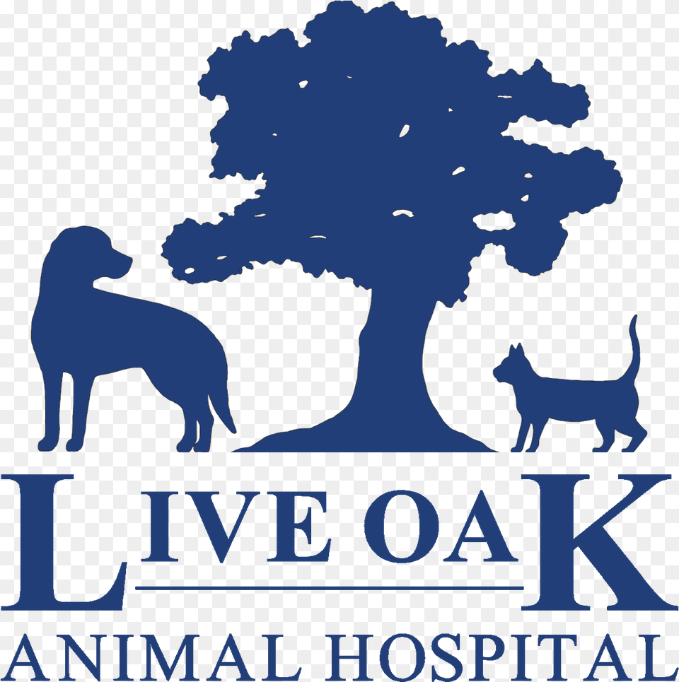 Live Oak Animal Hospital Vero Beach Veterinarians Language, Silhouette, Wildlife, Mammal, Deer Free Png Download