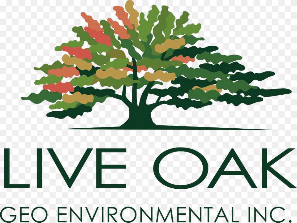 Live Oak Geoenvironmental Live Oak Bank Logo, Vegetation, Tree, Plant, Grass Free Transparent Png