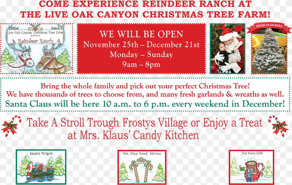 Live Oak Tree Live Oak Canyon Frosty Village, Advertisement, Poster, Baby, Person Free Png Download