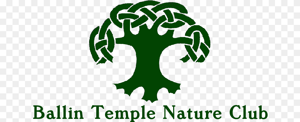 Live Tree Of Life, Green Free Png
