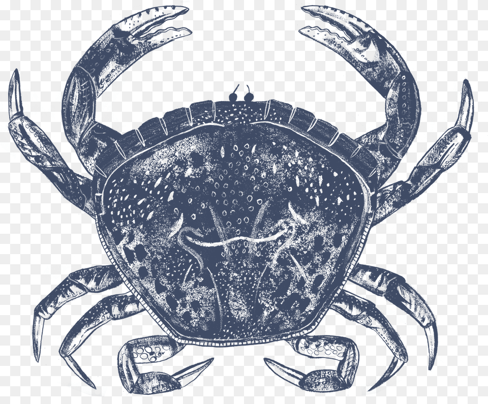Live Whole Crab Chesapeake Blue Crab, Food, Seafood, Animal, Invertebrate Png