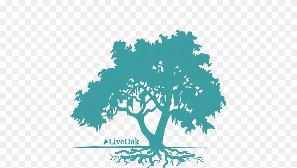 Livecycletree Oak Tree Clipart Green, Plant, Art, Sycamore, Person Png Image