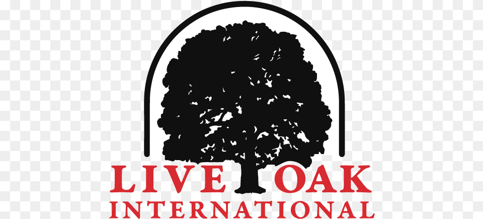Liveoak Logo Red Blk Halftrans Live Oak International Logo, Plant, Silhouette, Tree, Sycamore Free Png