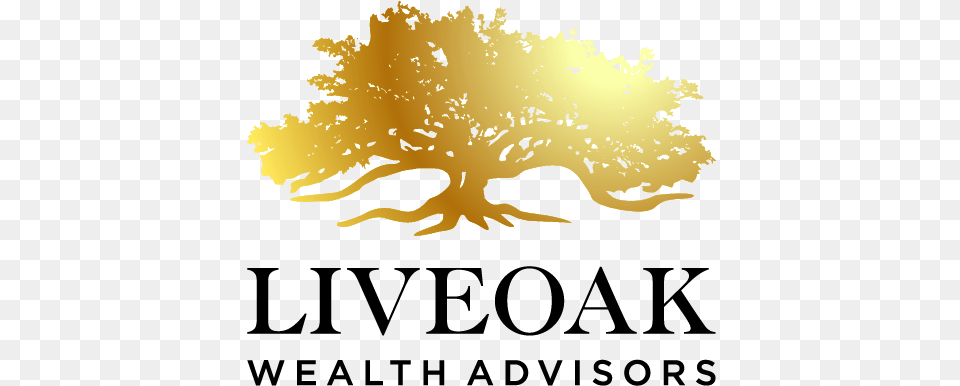 Liveoak Wealth Advisors Language, Plant, Tree, Baby, Person Png