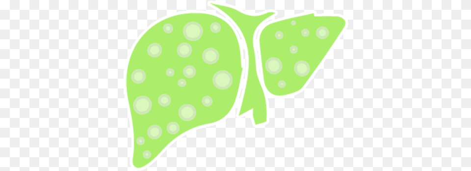 Liver, Clothing, Hat, Green Png Image