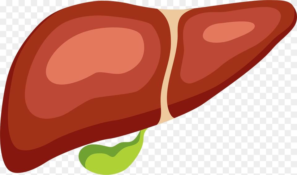 Liver Clipart, Food, Produce Free Transparent Png