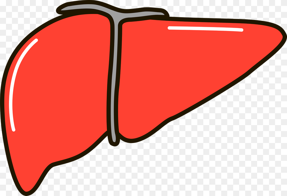 Liver Clipart, Toy, Weapon Png