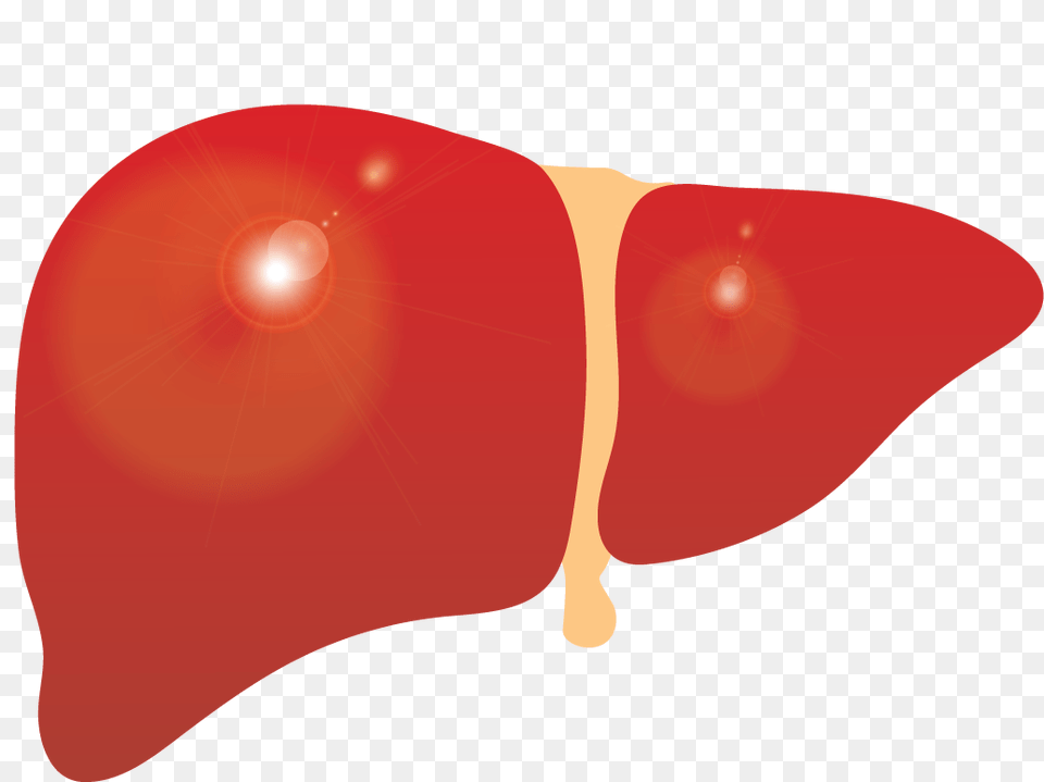 Liver Clipart Liver Clipart, Food, Ketchup Free Transparent Png