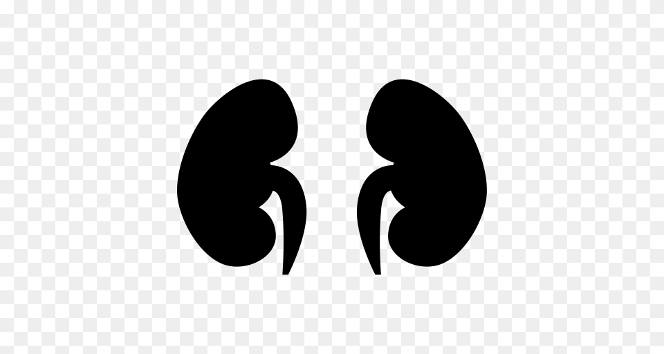 Liver Gallbladder Spleen Icon With And Vector Format, Gray Free Png