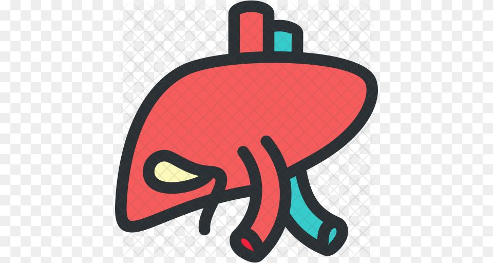 Liver Icon Image Free Transparent Png