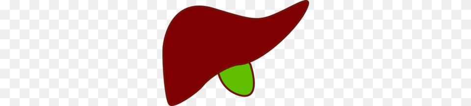 Liver New Clip Art, Clothing, Hat, Outdoors, Animal Png