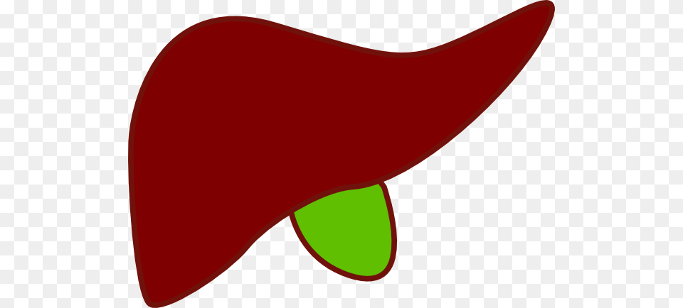 Liver New Clip Art, Clothing, Hat, Animal, Fish Png Image