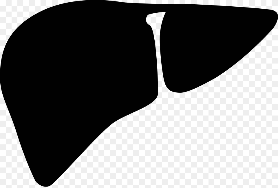 Liver Noun Cc, Accessories, Formal Wear, Tie, Guitar Free Transparent Png